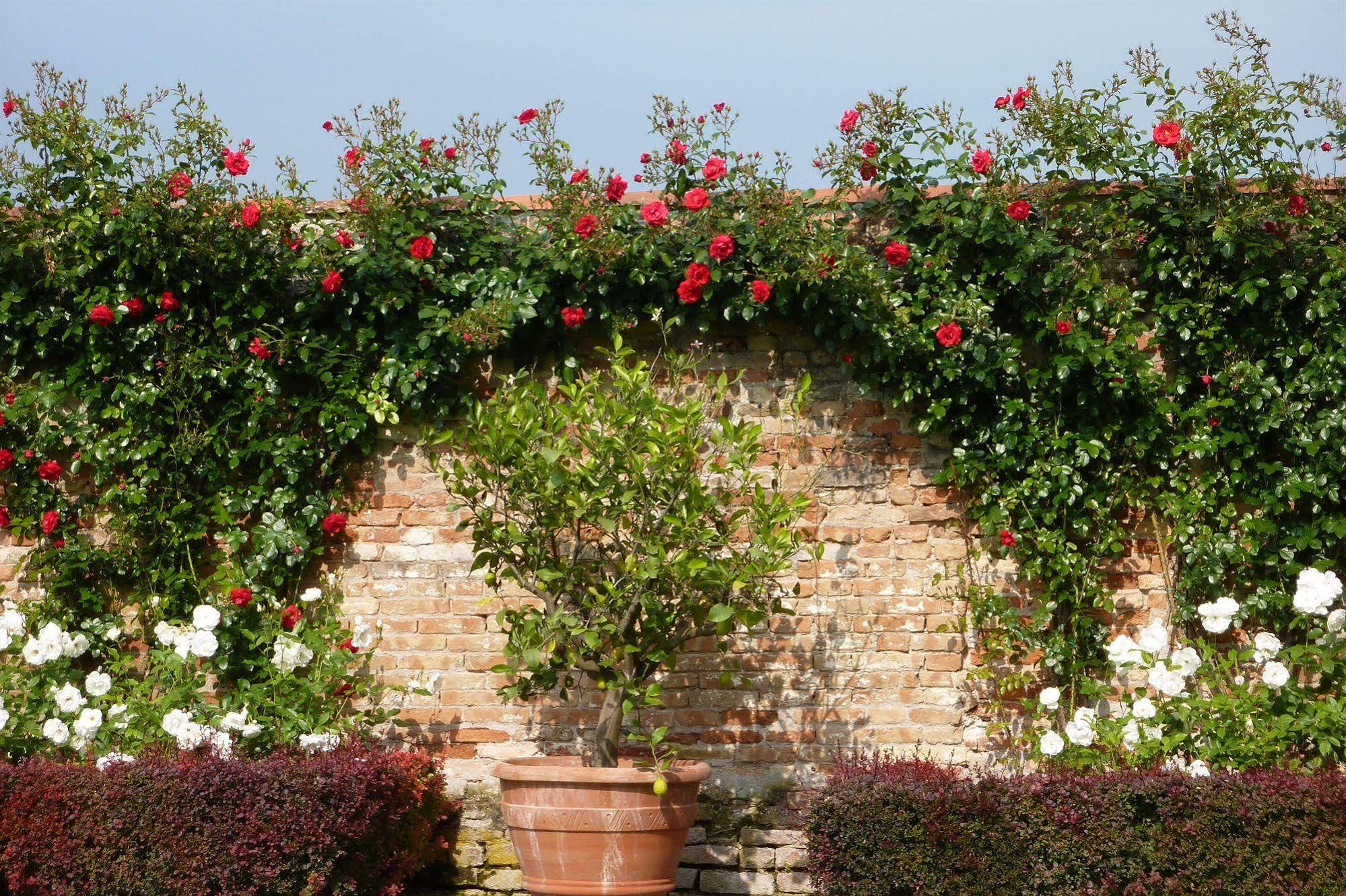 Villa Alberti Dolo Eksteriør billede