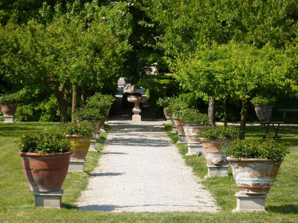 Villa Alberti Dolo Eksteriør billede